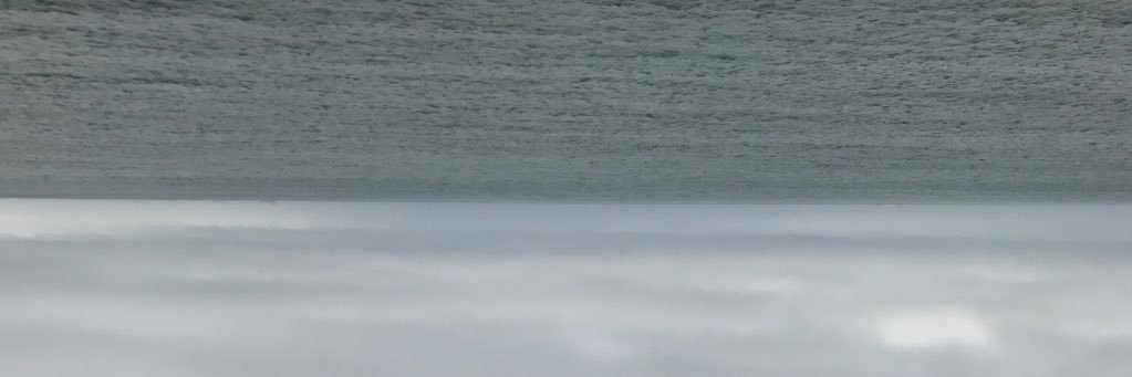 Edward___Wilson's profile banner image