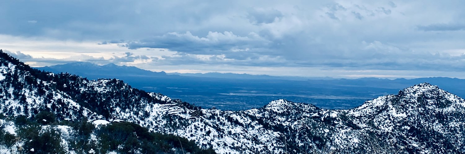 AllyRomer's profile banner image
