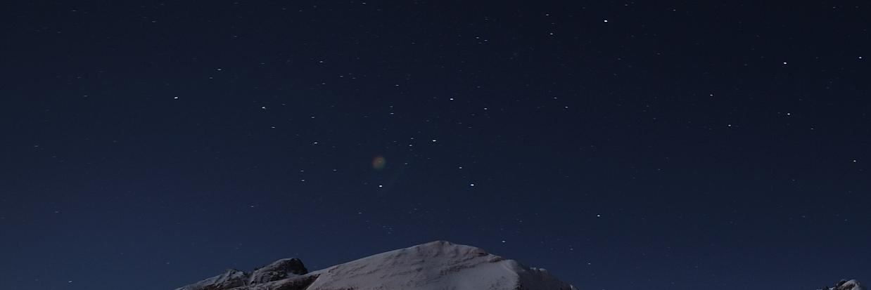 Tweet_bees's profile banner image