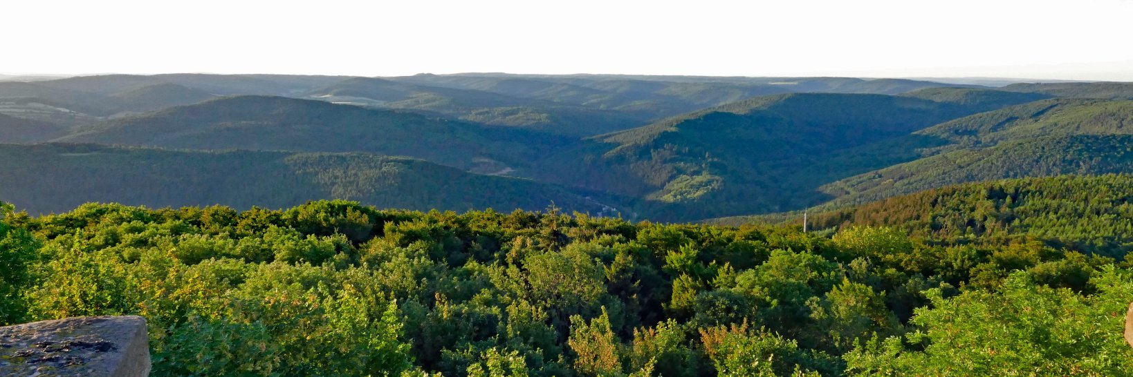 odenwaldfan's profile banner image
