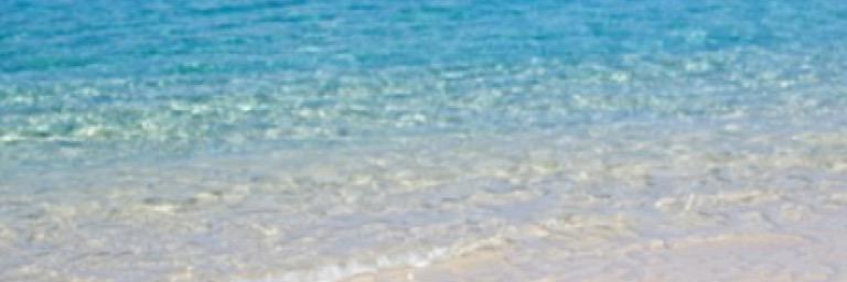 FranceGuilbert's profile banner image