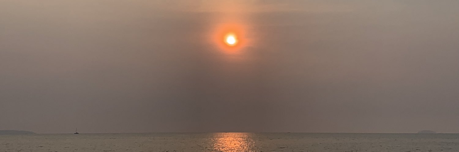 a1202l's profile banner image