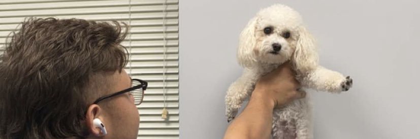 geoffwag's profile banner image