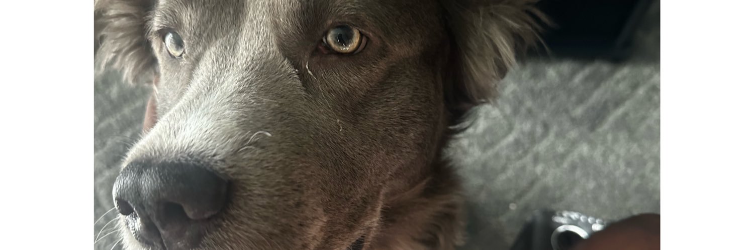TDott__'s profile banner image