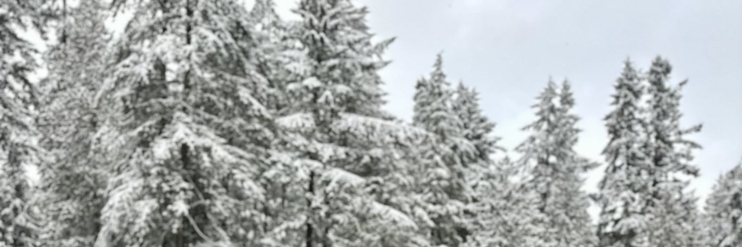jackieari_'s profile banner image