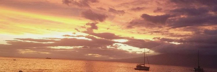 bribrigirl1's profile banner image