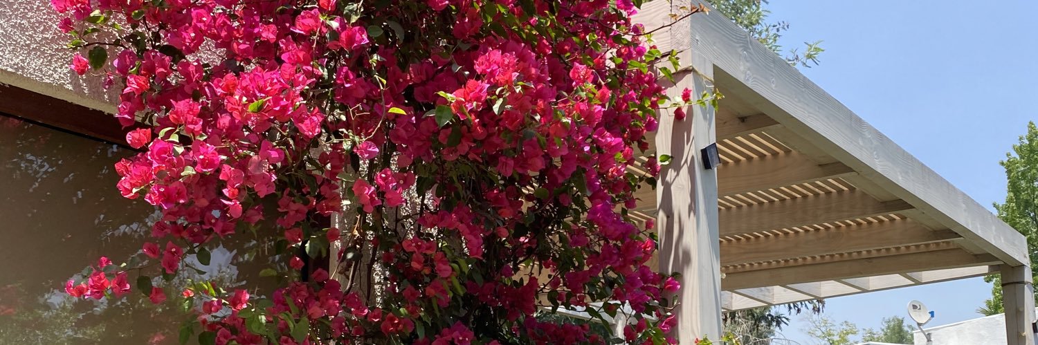 Carly_Mery's profile banner image