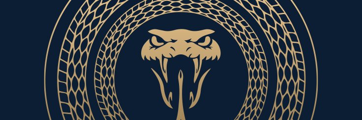 Catman banner