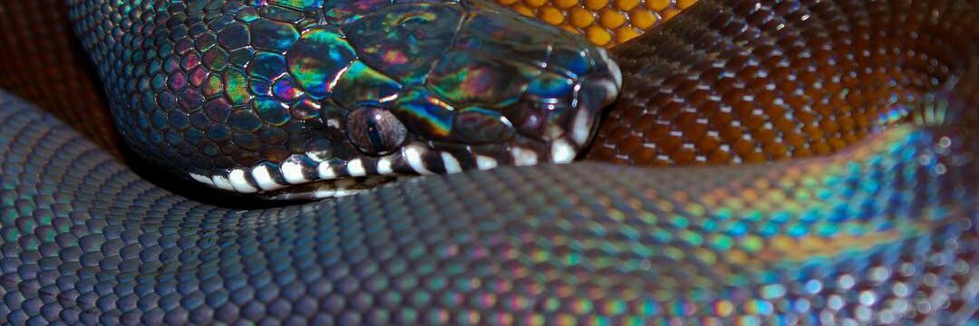 vinylsovnd's profile banner image