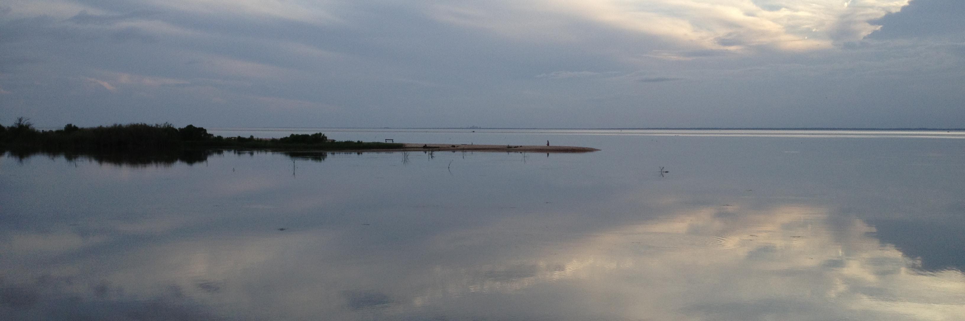 Erica Frankenberg banner