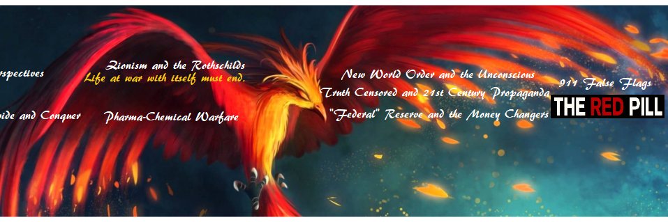 dprogram's profile banner image