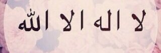 ش🌻. banner