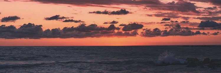ilyscellini's profile banner image