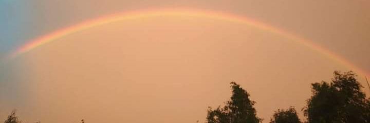 winda sari 🦋 banner