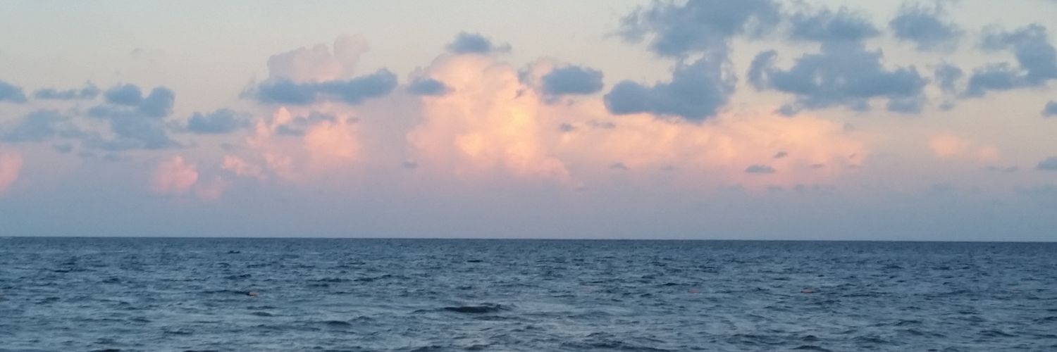 x_littled's profile banner image