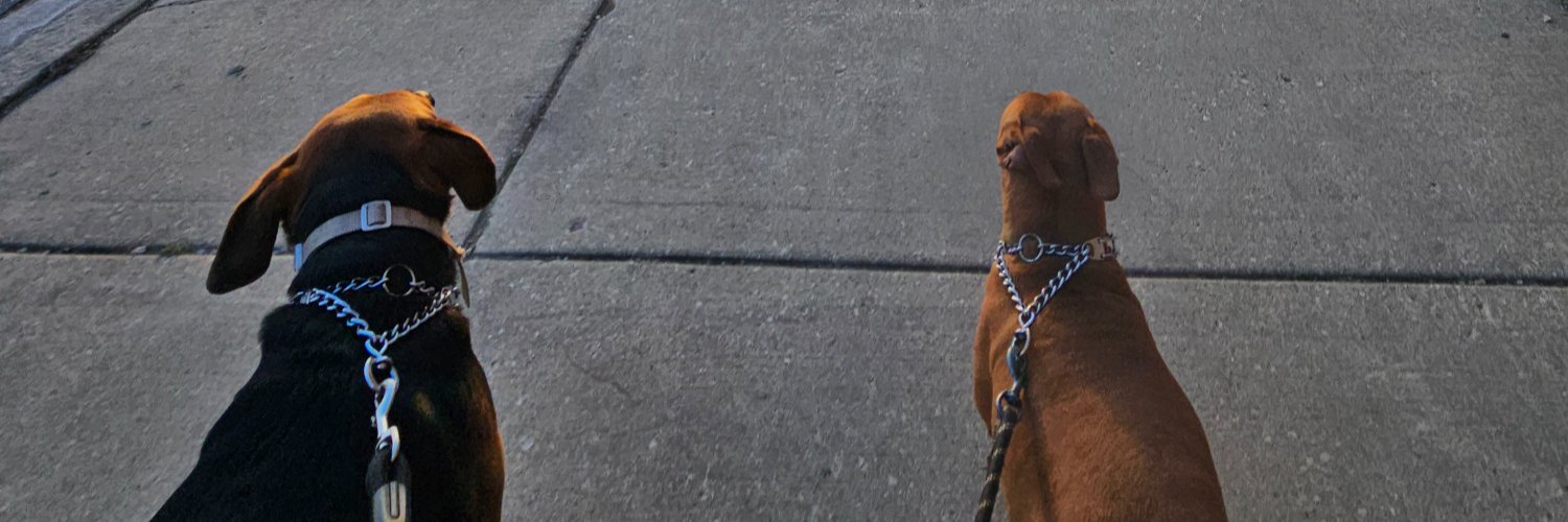 waxinematers's profile banner image