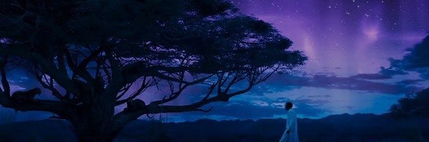 rafffto11's profile banner image
