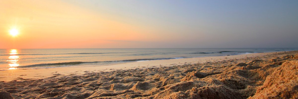 RickRollin_'s profile banner image