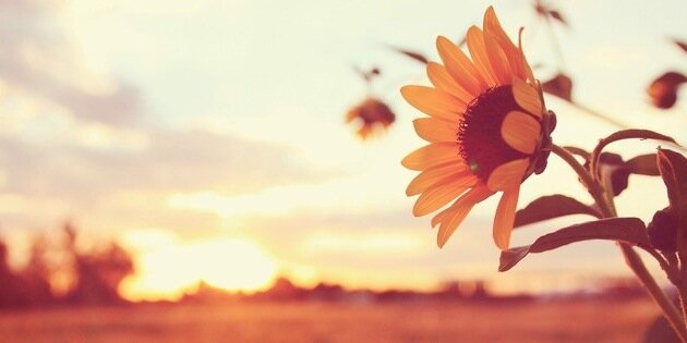 kt_1496's profile banner image