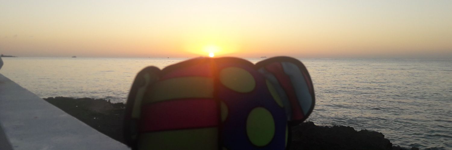 DovaAzulito's profile banner image