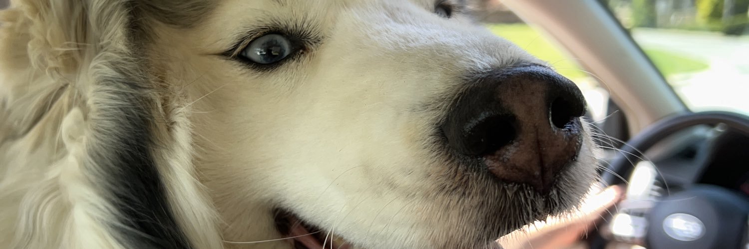 mattysobol's profile banner image
