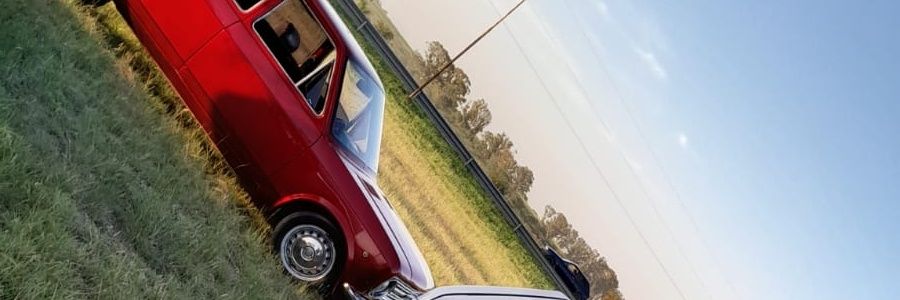 PipiUsz's profile banner image