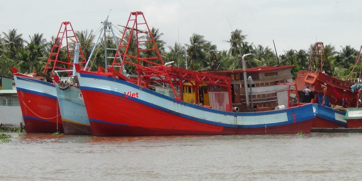 seafishexporter's profile banner image