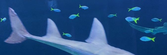 nabilaaaahx's profile banner image