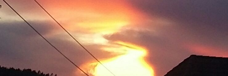 Even Øverland banner