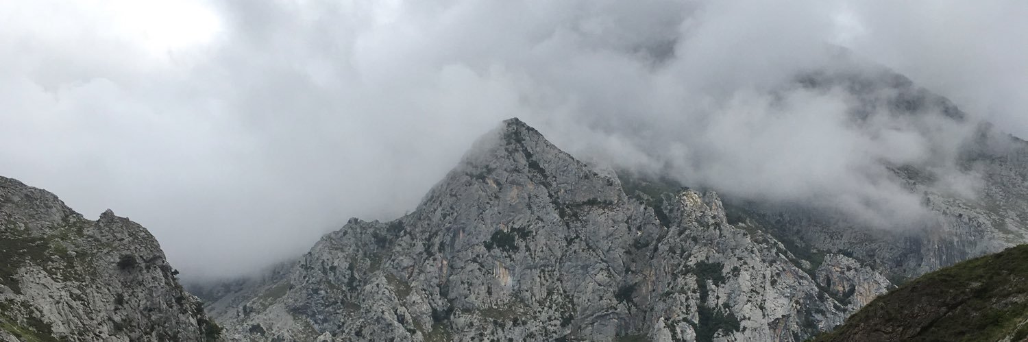 dRaquelb's profile banner image