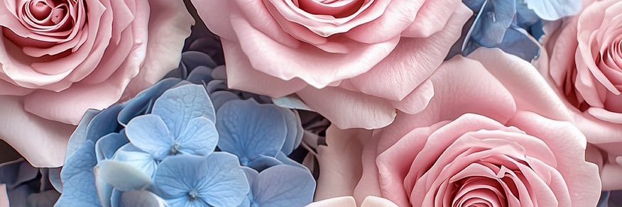 Machiiiy's profile banner image