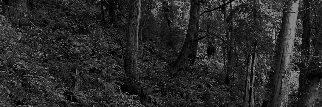 bobbilee | dev programs @ Circle + Arc banner