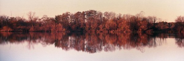 jasonpriebe Profile Banner