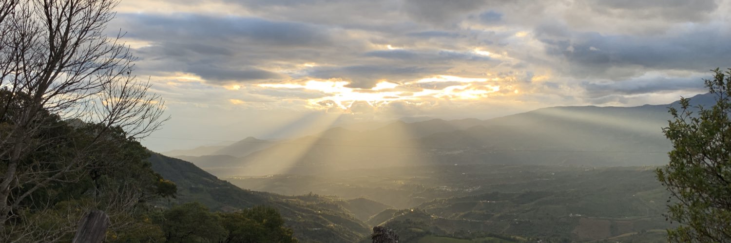 Harold Bonilla banner