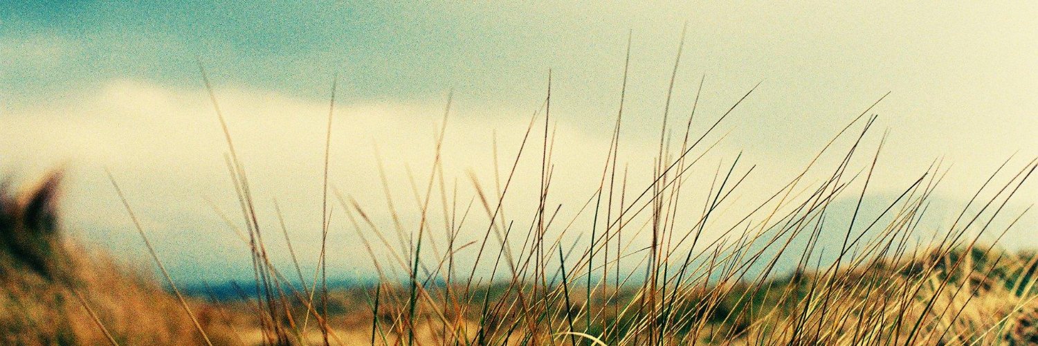 _newchar's profile banner image