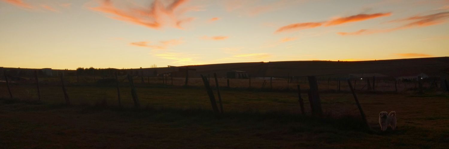 Cory_4M's profile banner image