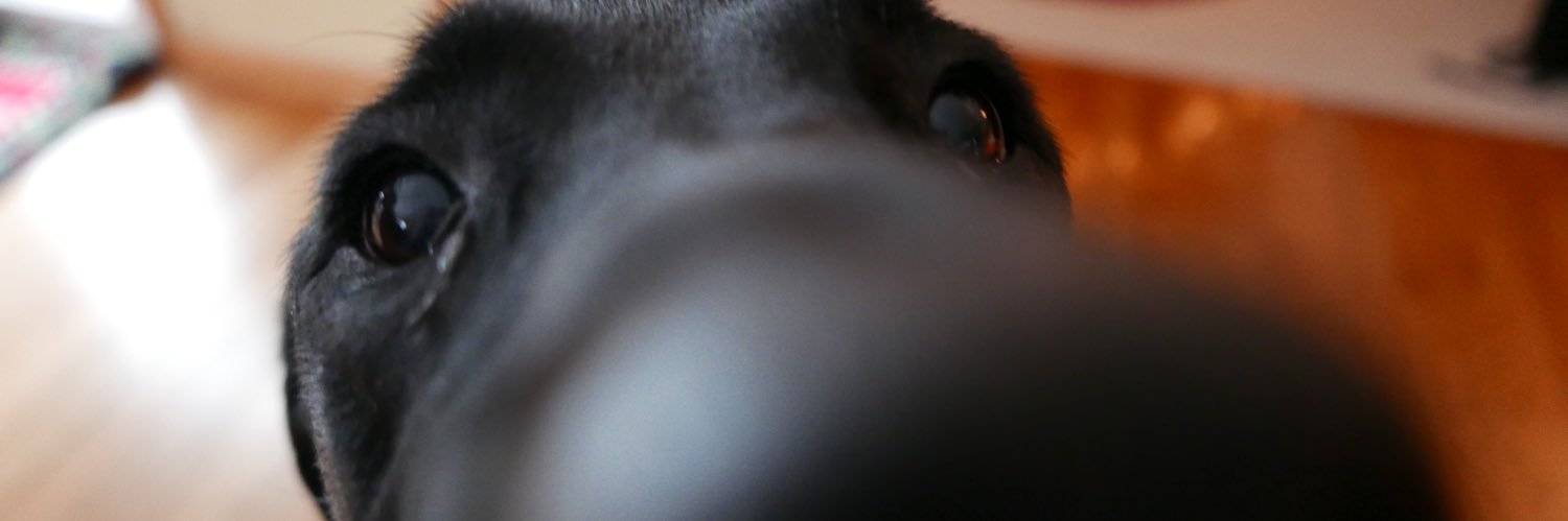 MeganRennerr's profile banner image
