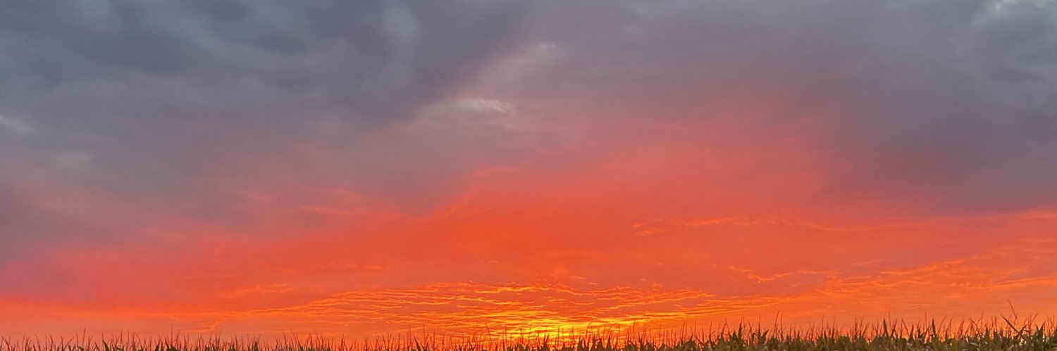 imsarahmuncie's profile banner image