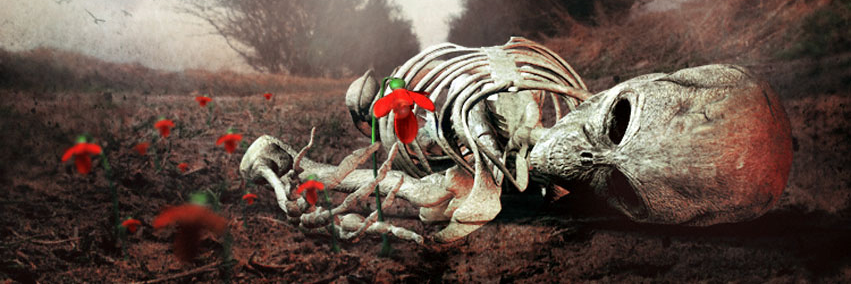 escalofrio's profile banner image