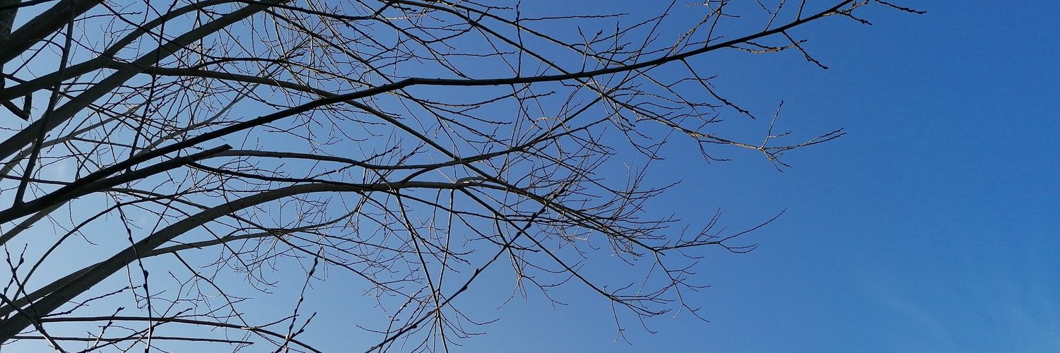 jappet21's profile banner image