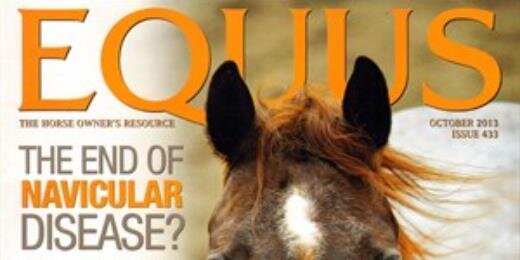 equusmagazines's profile banner image