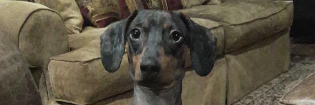 MyOhMyCharlie's profile banner image