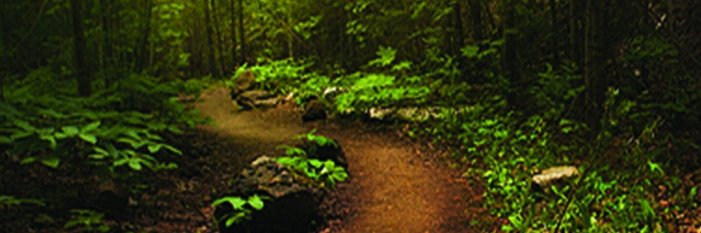 Breger3's profile banner image
