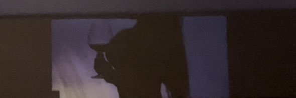Rojita💋🍒 banner