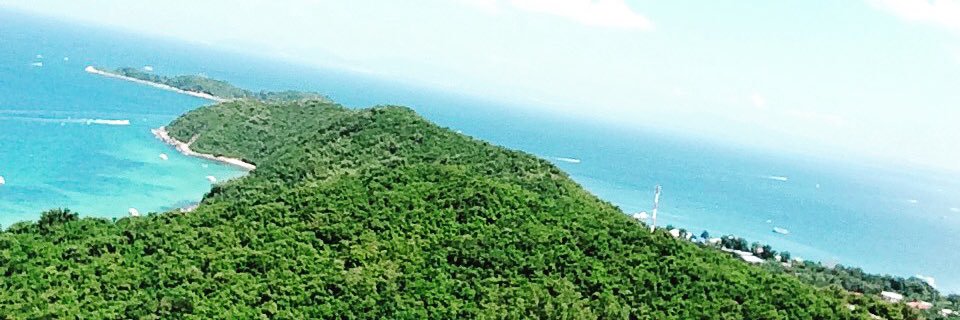 avi_polagani's profile banner image