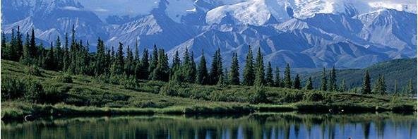 lbgage 1776 🇺🇲 banner