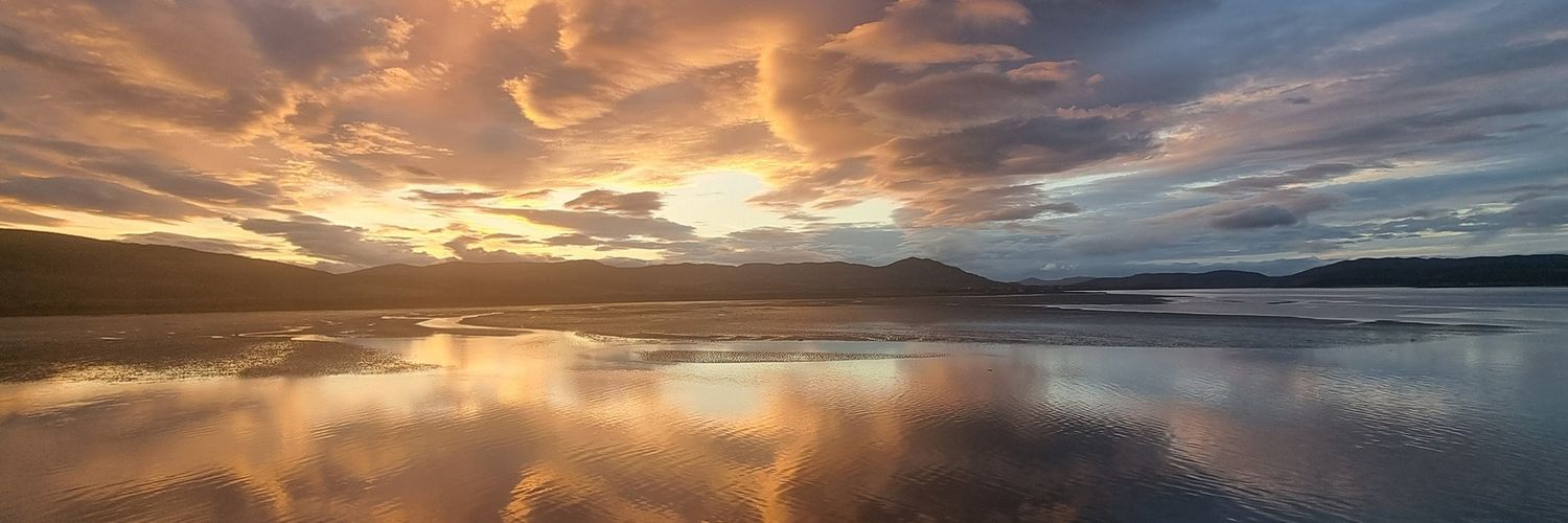 David N.F. Bell banner