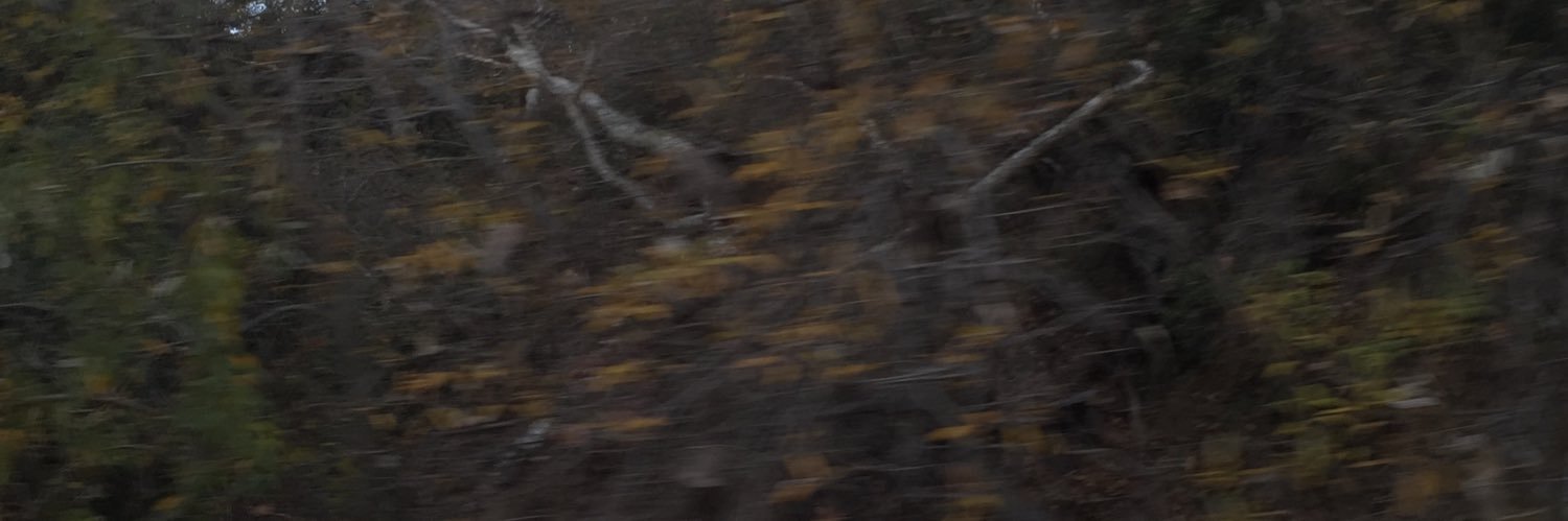kxvinalv's profile banner image