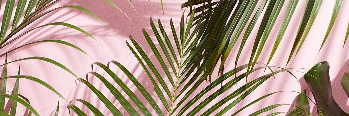 michqs23's profile banner image