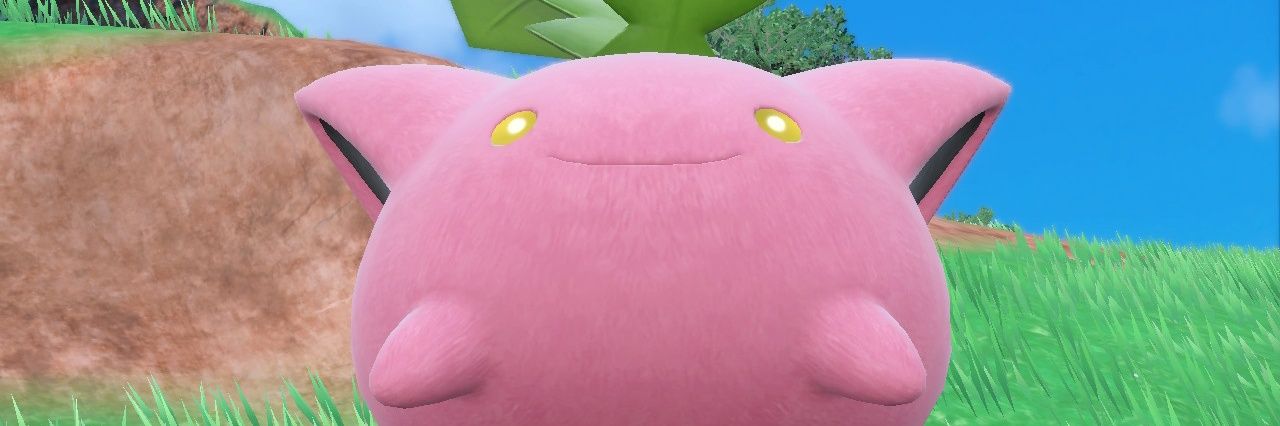 summerflower71's profile banner image